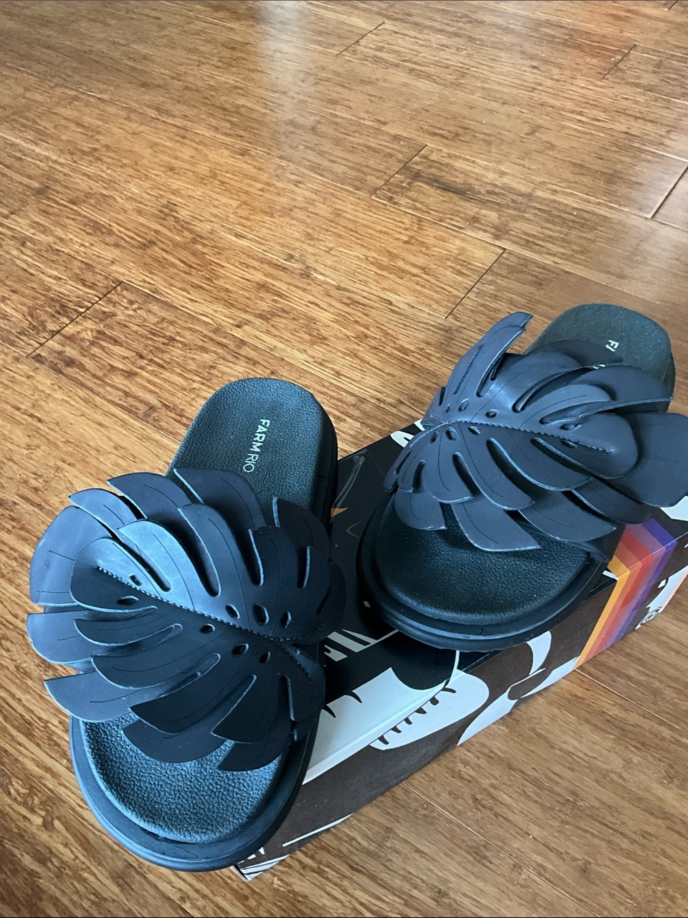 Farm Rio Black Slide Sandals with Leaf Accent - Picture 4 of 4